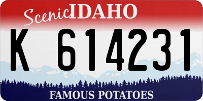 ID license plate K614231