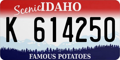 ID license plate K614250