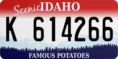ID license plate K614266