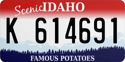 ID license plate K614691