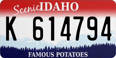 ID license plate K614794
