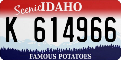 ID license plate K614966