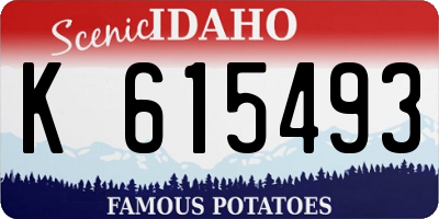 ID license plate K615493