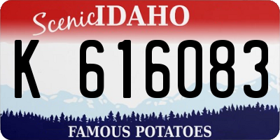 ID license plate K616083