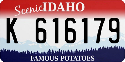 ID license plate K616179