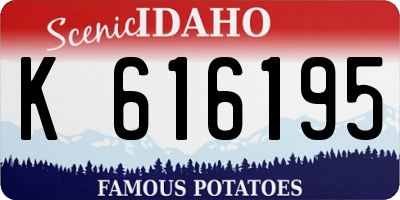 ID license plate K616195
