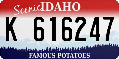 ID license plate K616247