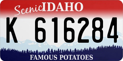 ID license plate K616284