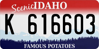 ID license plate K616603