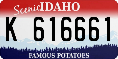 ID license plate K616661