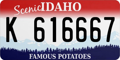 ID license plate K616667