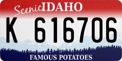 ID license plate K616706