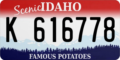 ID license plate K616778