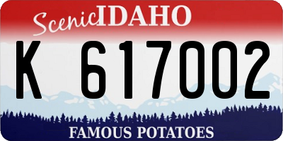ID license plate K617002