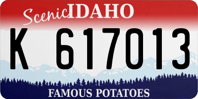 ID license plate K617013