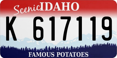 ID license plate K617119