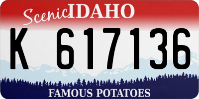 ID license plate K617136