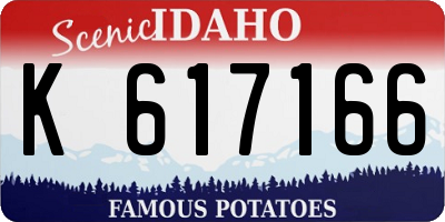 ID license plate K617166