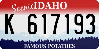ID license plate K617193