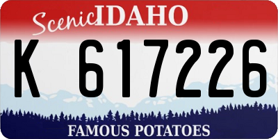 ID license plate K617226