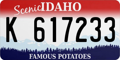 ID license plate K617233