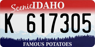 ID license plate K617305