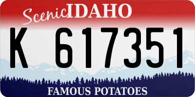 ID license plate K617351