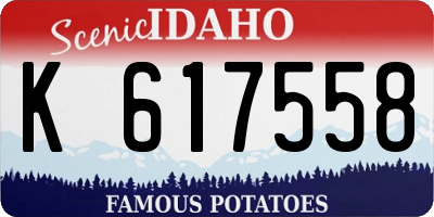 ID license plate K617558