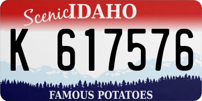 ID license plate K617576