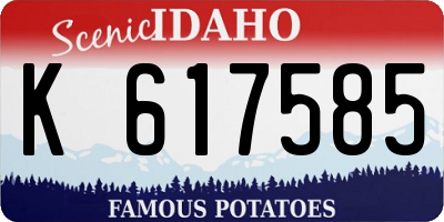 ID license plate K617585