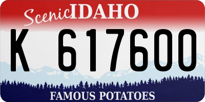 ID license plate K617600