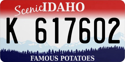 ID license plate K617602