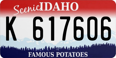 ID license plate K617606