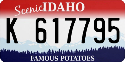 ID license plate K617795