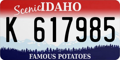 ID license plate K617985