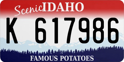 ID license plate K617986