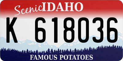 ID license plate K618036