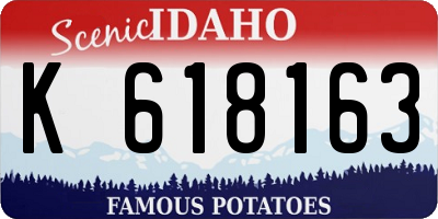 ID license plate K618163