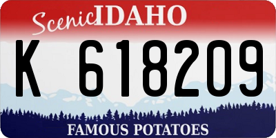 ID license plate K618209