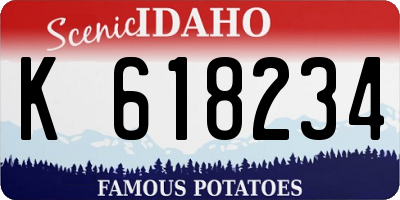 ID license plate K618234