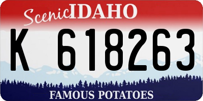 ID license plate K618263