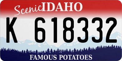 ID license plate K618332