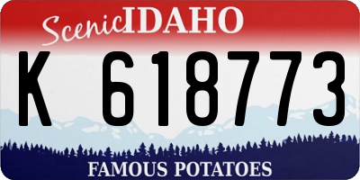 ID license plate K618773