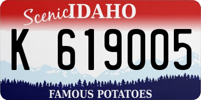 ID license plate K619005