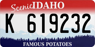 ID license plate K619232