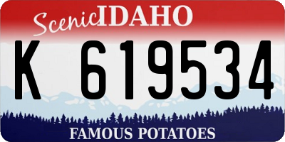ID license plate K619534