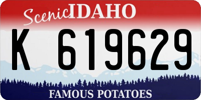 ID license plate K619629