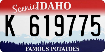 ID license plate K619775