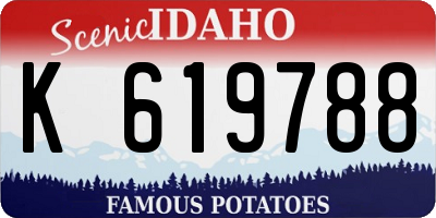 ID license plate K619788