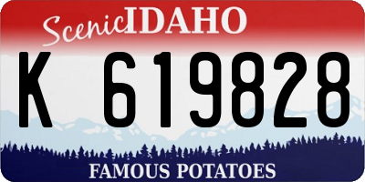 ID license plate K619828